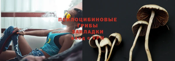 ГАЛЛЮЦИНОГЕННЫЕ ГРИБЫ Сосновый Бор